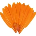 thumbnail image 1 of 120pcs Orange Goose Cochettes Feather Natural Bulk 4-6 inch 10-15cm for Wedding Party Christmas Halloween Decorations DIY Crafts Goose Cochettes Feather, 1 of 12