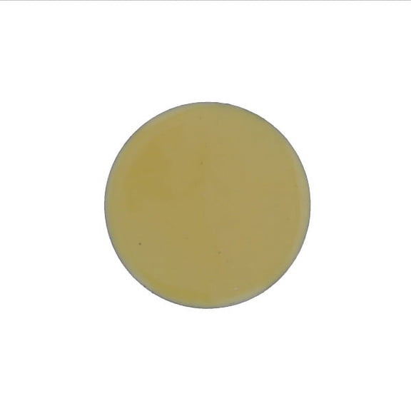 1238 Ivory Thompson Opaque Enamel 2 Ounce