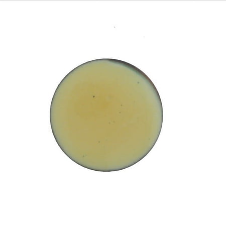 1239 Mellow Yellow Thompson Opaque Enamel 2 Ounce