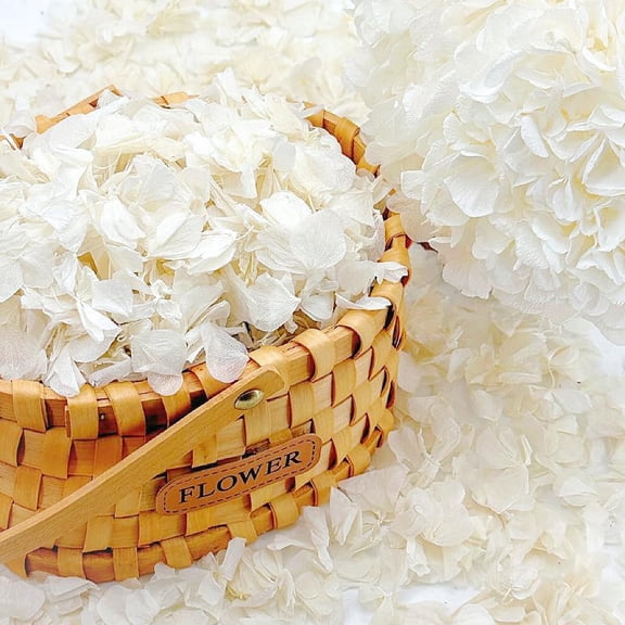 1250+ Real Dried Lvory White Hydrangea Petals - 0.88 oz Preserved Natural Flower for Wedding Decor, Party Confetti, Dinner Table Centerpieces, Handcrafts