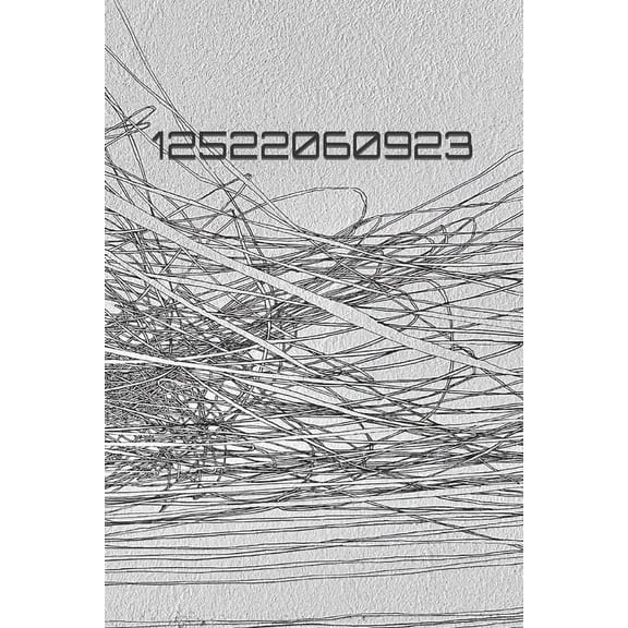 12522060923: String Theory (Paperback)