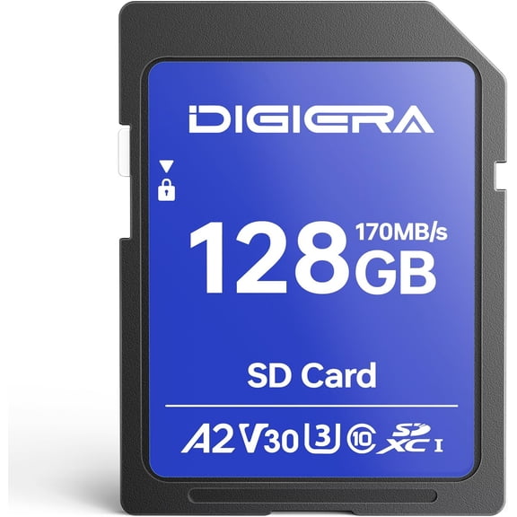 128GB LS100 SDXC UHS-I Memory Card - up to 170MB/s, C10, U3, V30, 4K UHD, SD Card for Computers, Digital Cameras, Home Theatre Devices, Car Navigation Systems (1 Pack)