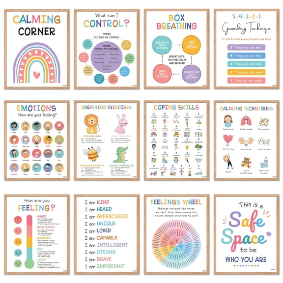 12Mental Health Posters For Kids Therapy Office Decor, Feeling Wheel Poster, What Can I Control, Emotions Chart Kids Inspirational Wall Art, Classroom School Counselor Psychologist Decor