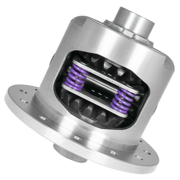 12P GM 4.10 & Up Dura Grip Limited Slip, 33spl, Composite Clutches