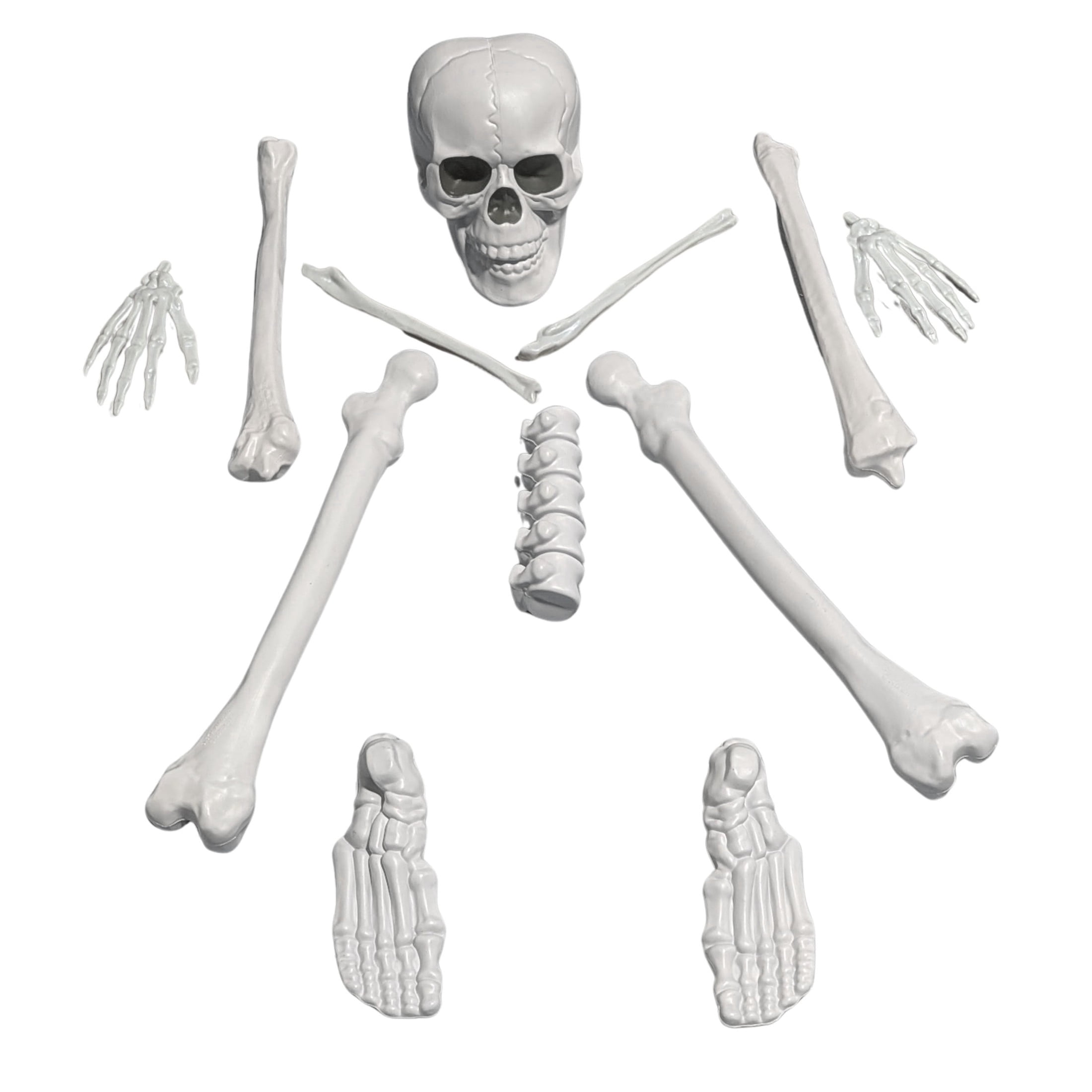 Faux Bag of Bones, 12 Pieces, Halloween by Way To Celebrate