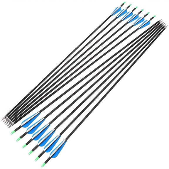 12PCS 2 Blue 1 White 500-Grain Mixed Carbon Hunting Arrows Adult Archery Equipment Suitable for Outdoor Hunting and Target Shooting