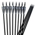 thumbnail image 1 of 12PCS 30" Fiberglass Arrows SP500 Hunting Archery For Recurve Compound Sporting Bow, 1 of 7