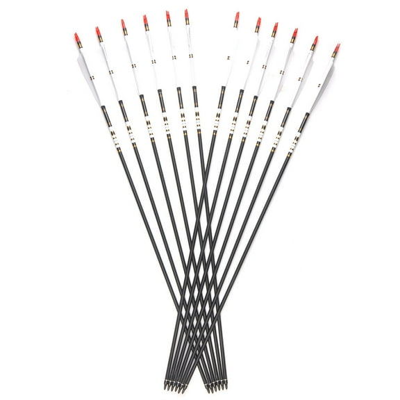 12PCS 80CM Mixed Carbon Arrow W Replace Tip&Turkey Feather F Recurve Bow