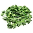 thumbnail image 1 of 12PCS Artificial Ivy Vines Leaves Garland for Home Office Decor, 1 of 8