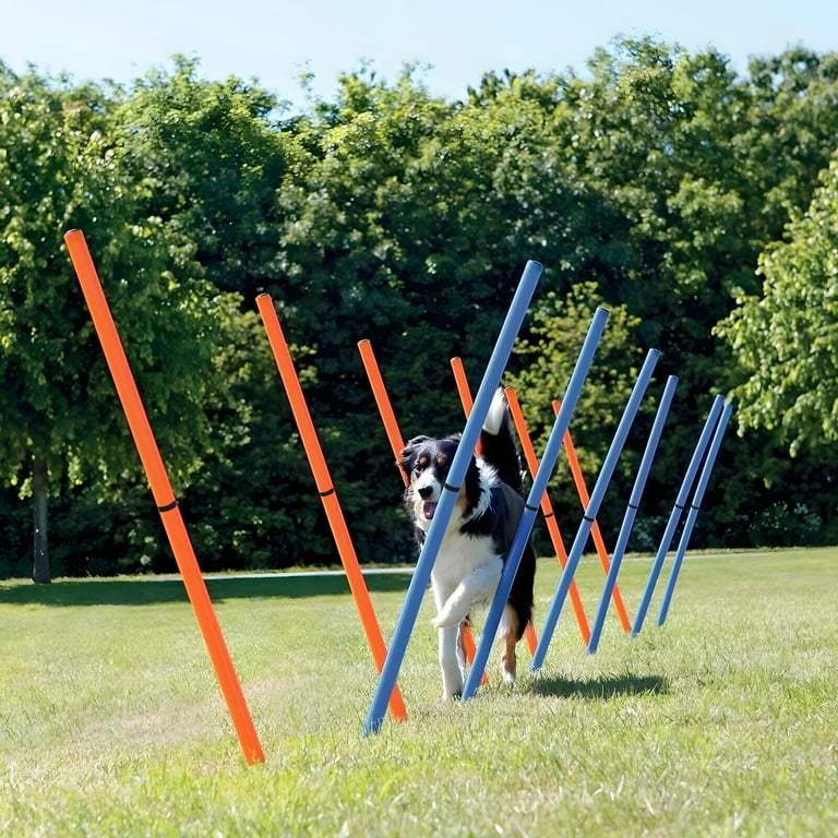 12PCS Dog Agility Slalom Set Pet Dog Agility Training Equipment