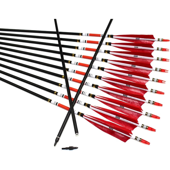 12PCS Red Turkey Feather 31 inches Carbon Arrows Replacement Tips Targeting Arrows Archery for Recurve Longbow Hunting&Practice