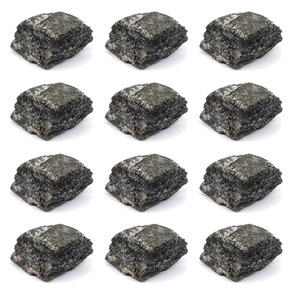 12PK Raw Biotite Gneiss, Metamorphic Rock Specimens - Approx. 1" - Geologist Selected & Hand Processed - Great for Science Classrooms - Class Pack - Eisco Labs