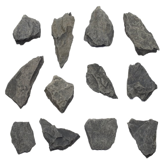 12PK Raw Carbonaceous Shale, Sedimentary Rock Specimens - Approx. 1" - Geologist Selected & Hand Processed - Great for Science Classrooms - Class Pack - Eisco Labs