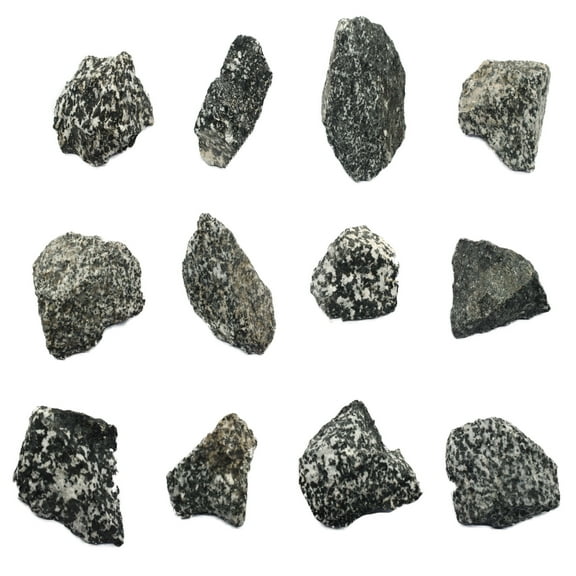 12PK Raw Diorite, Igneous Rock Specimens - Approx. 1" - Geologist Selected & Hand Processed - Great for Science Classrooms - Class Pack - Eisco Labs