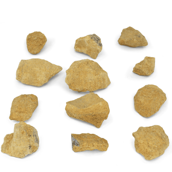 12PK Raw Dolostone, Sedimentary Rocks - Approx. 1" - Geologist Selected & Hand Processed - Great for Science Classrooms - Class Pack - Eisco Labs