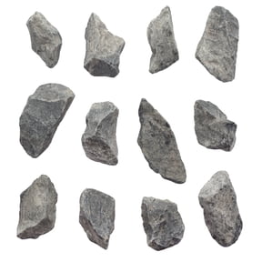 12PK Raw Gray Limestone, Sedimentary Rock Specimens - Approx. 1" - Geologist Selected & Hand Processed - Great for Science Classrooms - Class Pack - Eisco Labs