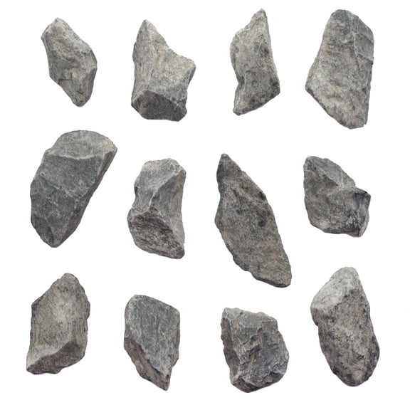12PK Raw Gray Limestone, Sedimentary Rock Specimens - Approx. 1" - Geologist Selected & Hand Processed - Great for Science Classrooms - Class Pack - Eisco Labs