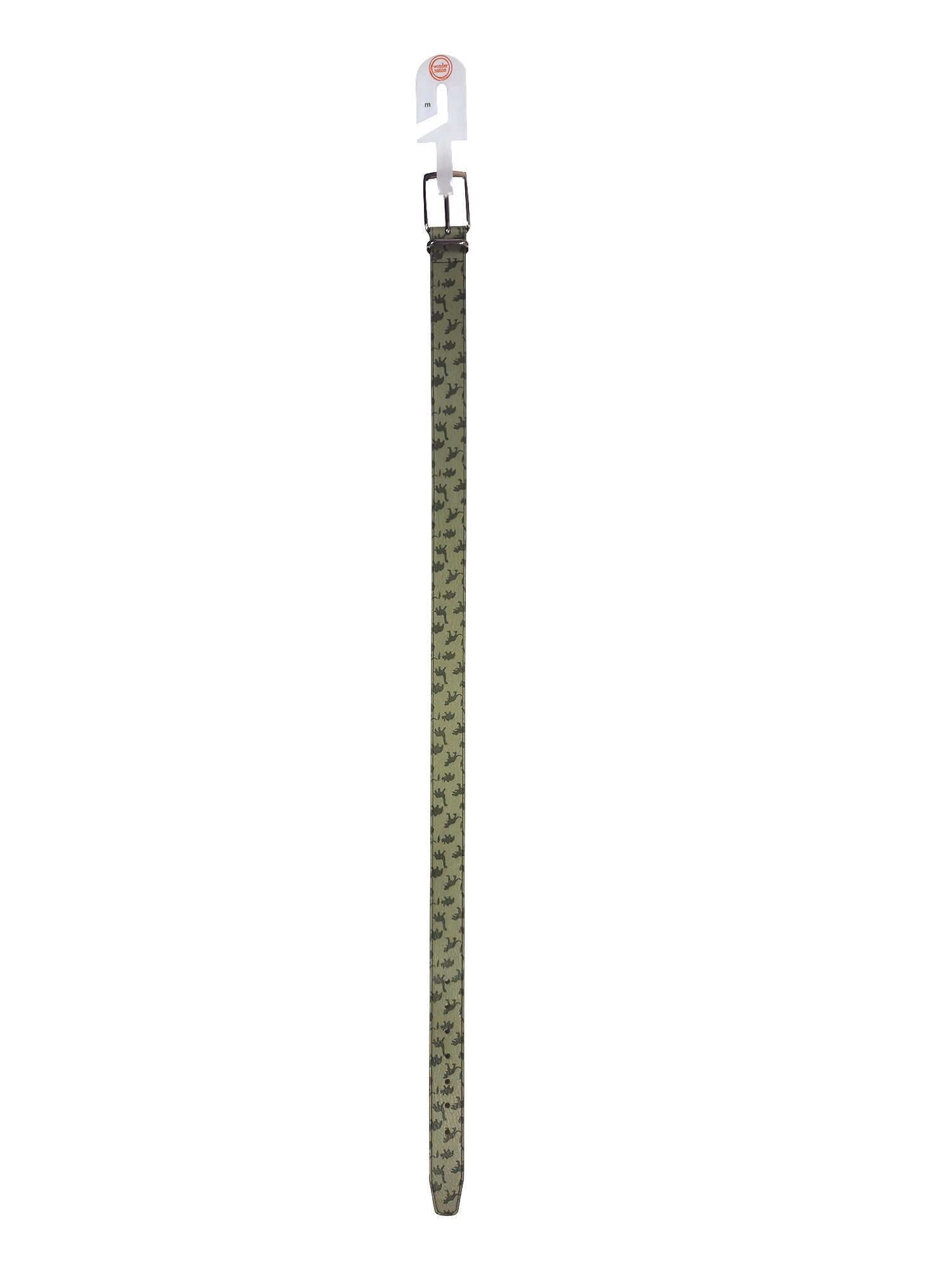 Wonder Nation Boys Dinosaur Belt, Size Large