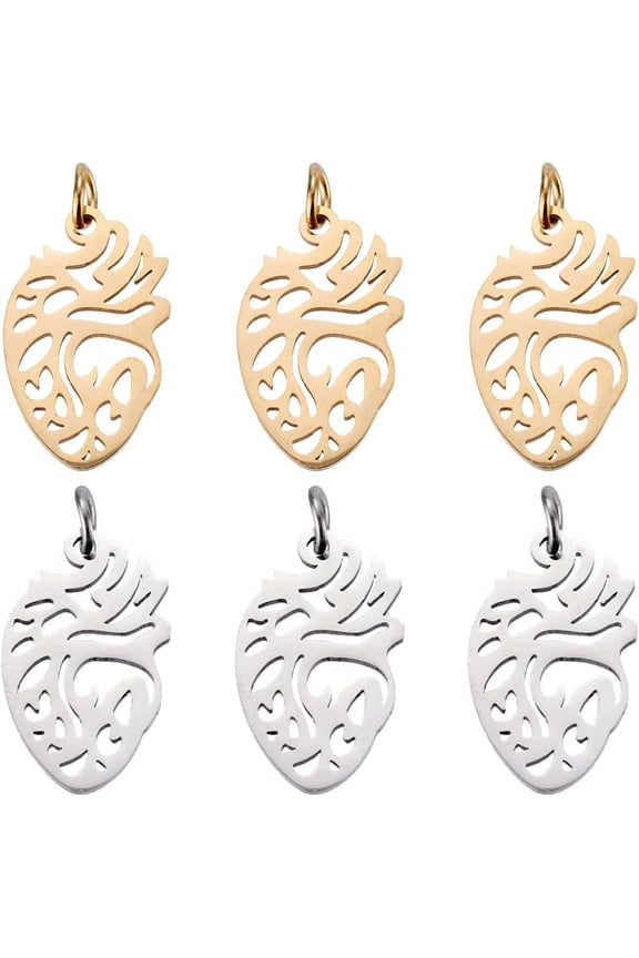 12Pcs 2 Colors 201 Stainless Steel Pendants Anatomical Organ Heart Shape with Unsoldered Jump Rings Golden & Stainless Steel Color 20x12x1mm Hole: 3mm