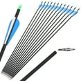 thumbnail image 1 of 12Pcs 30" Archery Carbon Arrows Recurve Compound Bow Hunting Target, 1 of 6