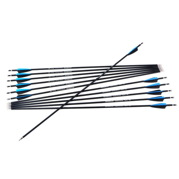 12Pcs 30" Carbon Arrows Spine 500 Compound Recurve Bow Hunting Archery