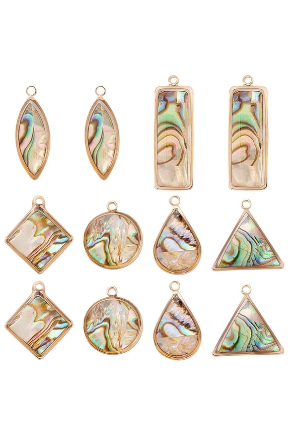 12Pcs 6 Styles Natural Paua Shell Pendants with Golden Brass Findings Mixed Shapes 16.5~27x8~17x3.5~5.5mm Hole: 1.5~1.6mm 2pcs/style
