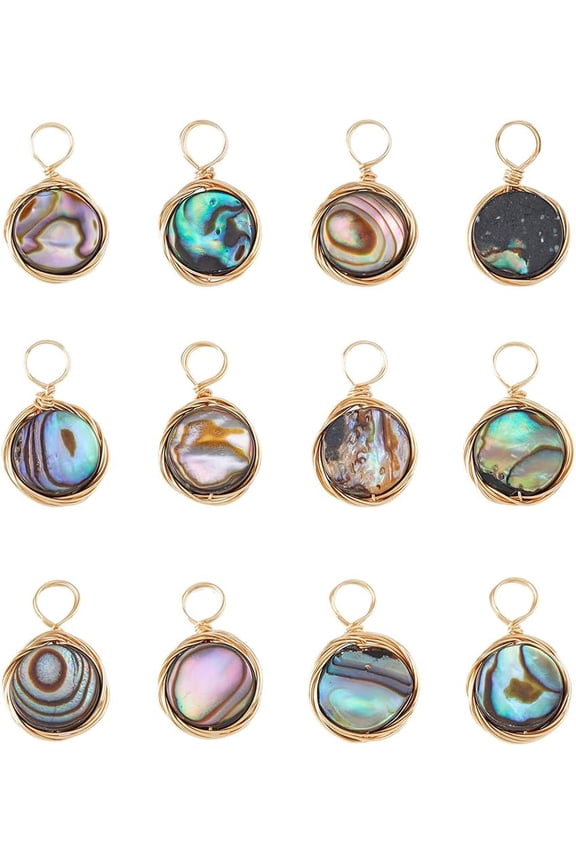 12Pcs Abalone Shell Charms 8mm Paua Shell Pendant Sea Shell Pendant with Copper Wire Wrapped Colorful Geometric Pendants