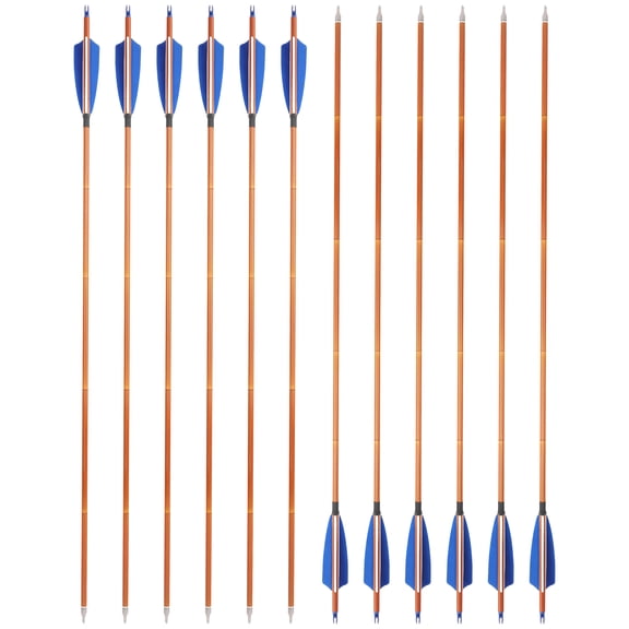 12Pcs Arrow Mixed Carbon Set 500sp Durable Arrows 4-Inch Feathers High-Precision Arrows Suitable for Indoor/Outdoor Archery Practice Sports & Outdoor Gear Arrow Accessories