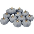 thumbnail image 1 of 12Pcs Artificial Pumpkins Bulk Harvest Faux Foam Lifelike Pumpkins for Fall Thanksgiving Halloween Holiday Party Decor, 1 of 6