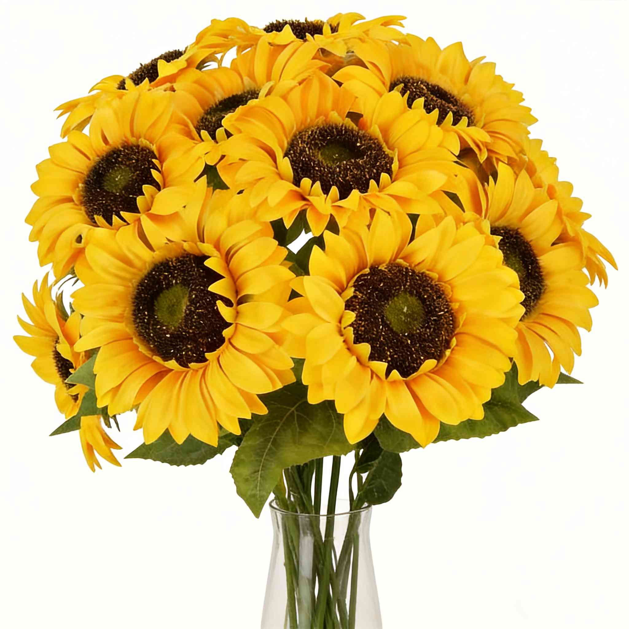 12Pcs Artificial Sunflower Flowers, 23.6" Long Stem Silk Fake Large Sunflowers Decoration for Outdoor Home Wedding Baby Shower Birthday Party Single Bulk Yellow Decor