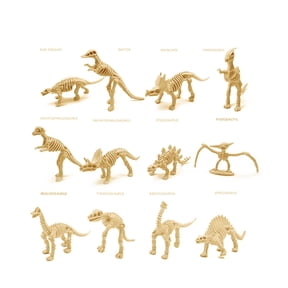 12Pcs Assorted Dinosaur Skeleton Mini Figurine Set,Educational Prehistoric Dino Bone Fossil Model Toy