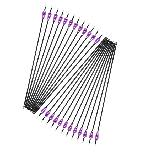 12Pcs Carbon Arrows 3" Vanes Target Shoot Archery Practice Hunting