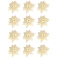 thumbnail image 1 of 12Pcs Champagne Poinsettia Picks, Glitter Poinsettia Artificial Flowers with Wired Stem, 8.46in Christmas Tree Ornaments for Wreath, Garland & Rustic Holiday DIY Decor, 1 of 6