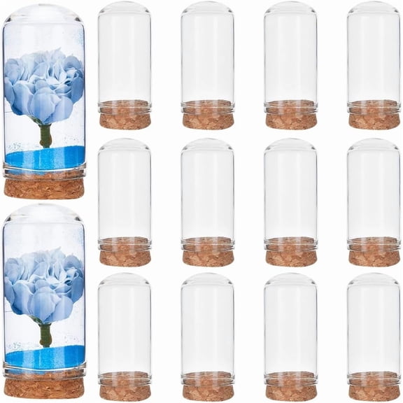 12Pcs Cloche Glass Dome with Cork Base 2.7 x 1.2in Bell Jar Mini Display Stand Cover DIY Vial Terrarium Cabochons Bottles Container Wood Decor for Preserved Flower Cover Christmas Party Favor