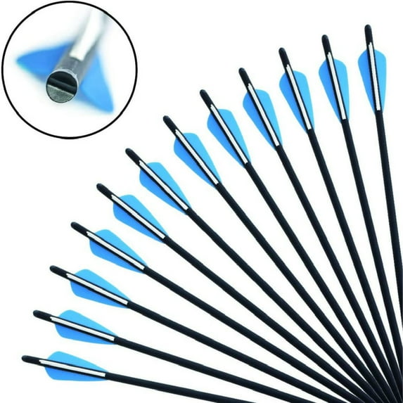 12Pcs Crossbow Arrows Crossbow Bolts 20 inch Hunting Archery Crossbow Carbon Arrows, Blue