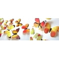 12Pcs Decal Wall Stickers Home Decorations 3D Butterfly Rainbow Yellow
