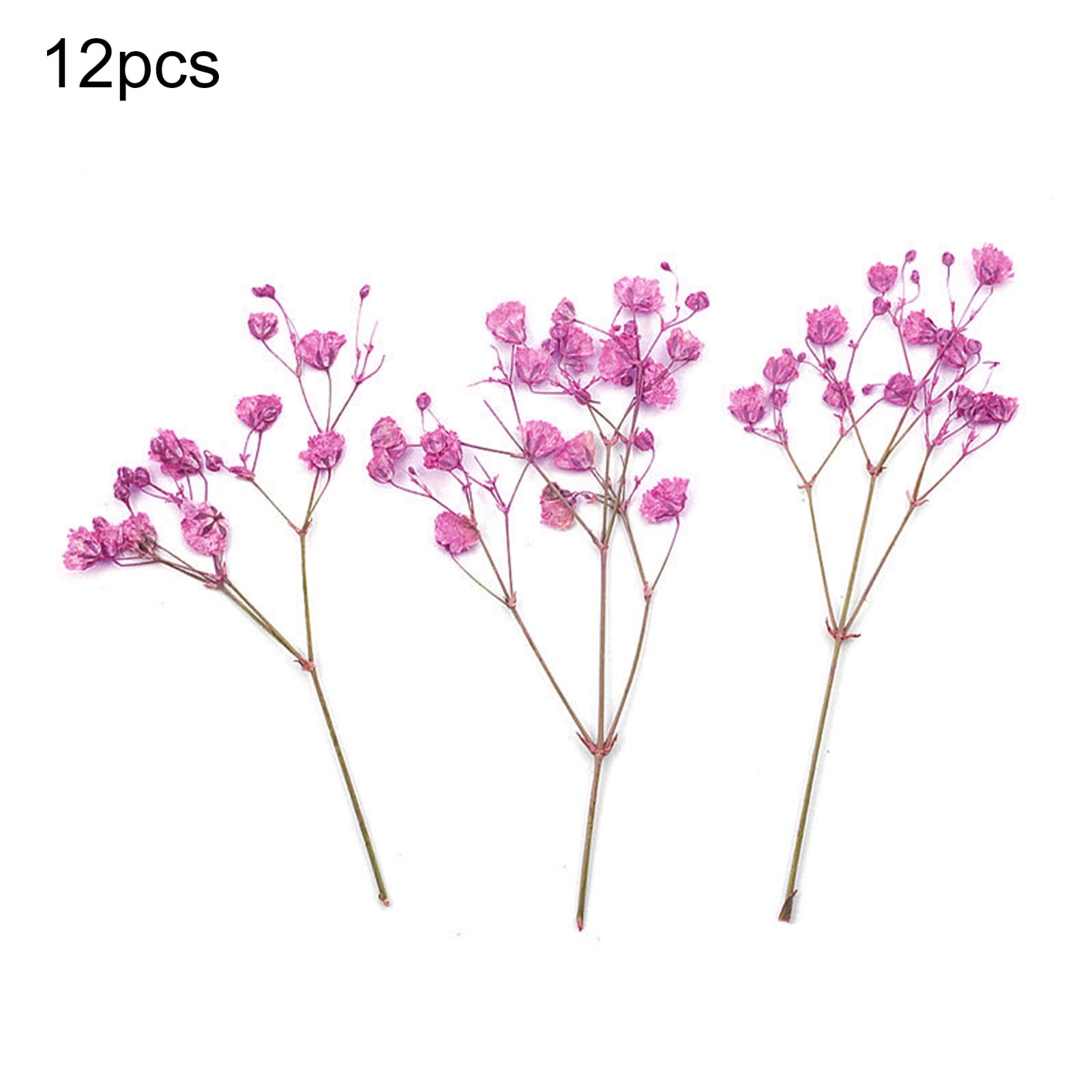 1 Pieces Colorful Cotton Flower Natural Dried Flowers For
