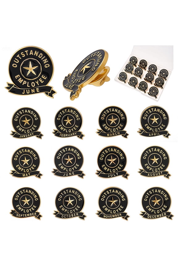 12Pcs Employee of The Month Badge Appreciation Lapel Pins Black Flat Round 1 to 12 Month Enamel Stars Reward Recognition Alloy Brooches