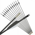 thumbnail image 1 of 12Pcs Fiberglass Arrows 31 Inch Recurve Bow Compound Archery Hunting, 1 of 6