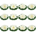thumbnail image 1 of 12Pcs Floating Artificial Lotus Flowers 3.93inch Multicolored Plastic Lotus Flower with Water Lily Pad Fake Floating Flowers for Pool Home Home Garden Pond Decorations, 1 of 9