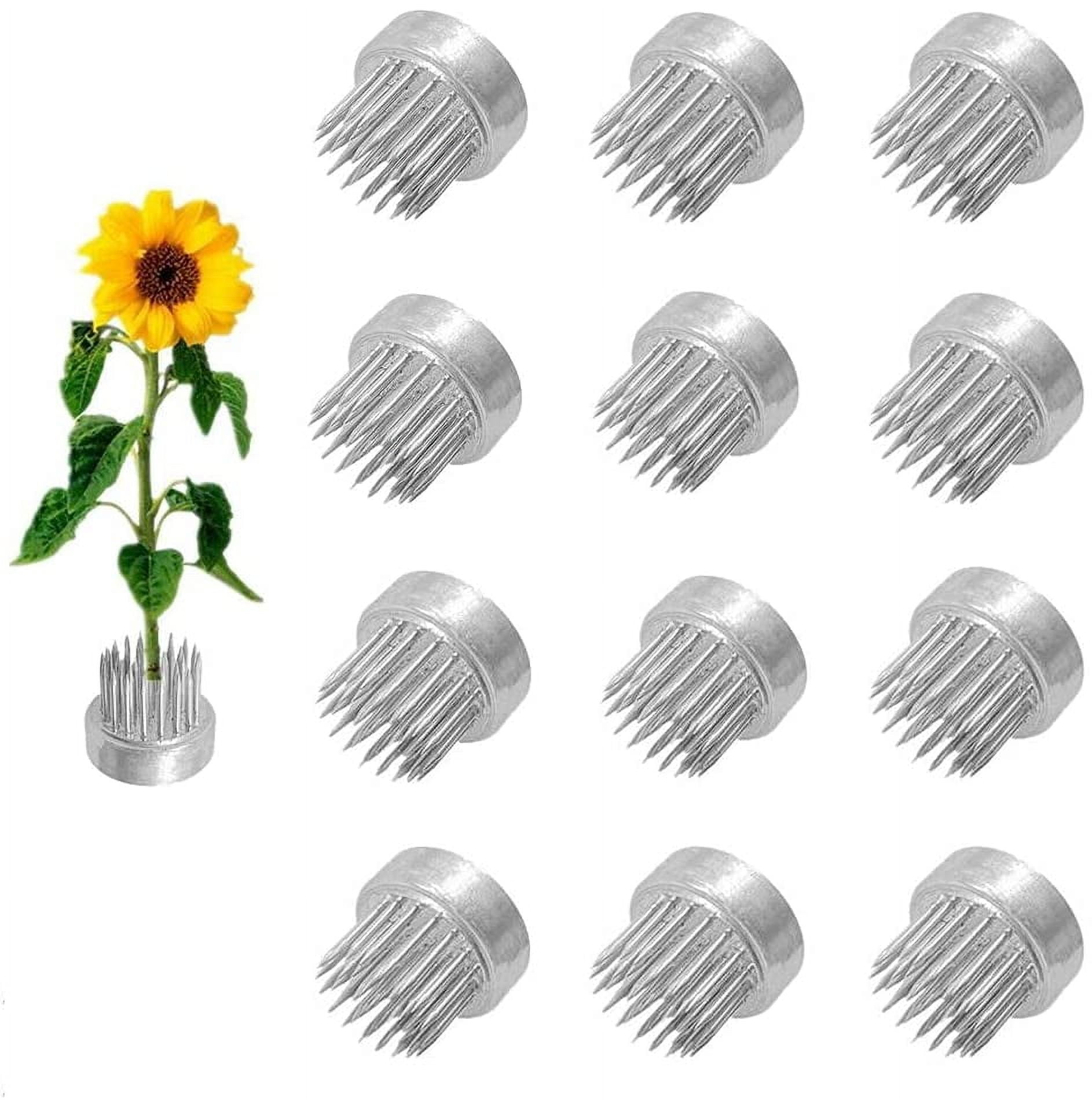 Set De 4 Kenzan (Ranas Para Flores) De Acero Inoxidable - Diferentes Tamaños, Para Arreglos Florales Tipo Ikebana