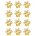thumbnail image 1 of 12Pcs Gold Glitter Poinsettia Picks, Christmas Poinsettia Artificial Flowers with Wired Stem,8.46in Xmas Tree Ornaments for Luxury Holiday & New Year Party Decor, 1 of 6