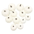 thumbnail image 1 of 12Pcs Harvest Halloween Pumpkins Model Foam Props for Decorating Fall Craft Style C, 1 of 8