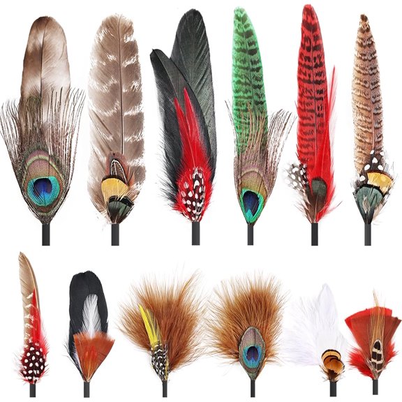 12Pcs Hat Feathers, Assorted Natural Feathers for Hats Colorful Real Feathers Pin for DIY Craft, Men Women Cowboy Hats, Fedora, Party Hats,Oktoberfest (12 Style)