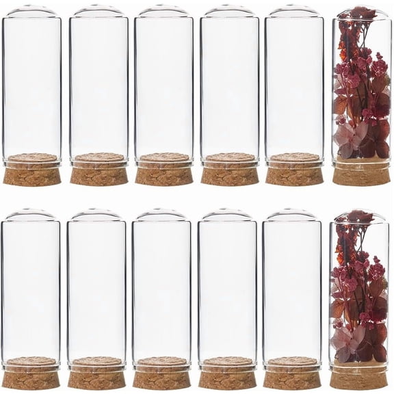 12Pcs Mini Cloche Dome 30x80m Mini Display Bell Jar with Cork Base 40ml Glass Dome Cover Mini Dome Glass Cloche Bell Jar Decorative Vial for Flower Storage Home Christmas Party Favor Decor Clear
