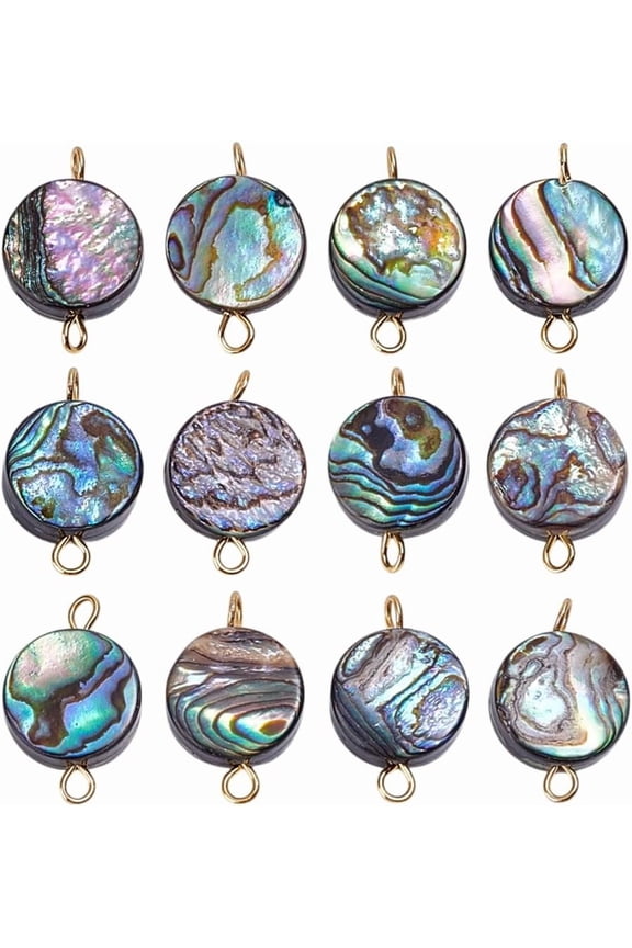 12Pcs Natural Abalone Shell/Paua Shell Flat Round Connector Charms with Brass Findings Golden 16mm Hole: 1.6mm for DIY