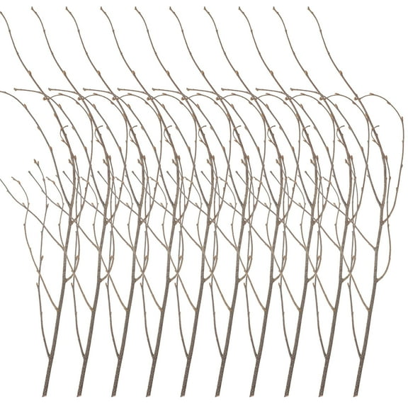 12Pcs Natural Dried Tree Branches DIY Birch Branches Flower Arrangement Branch