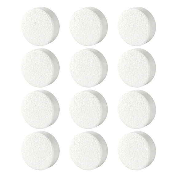12Pcs Paintable 3Inch Foam Circles Polystyrene Foam Disks For Handmade Craft Art Painting And Home Decoration