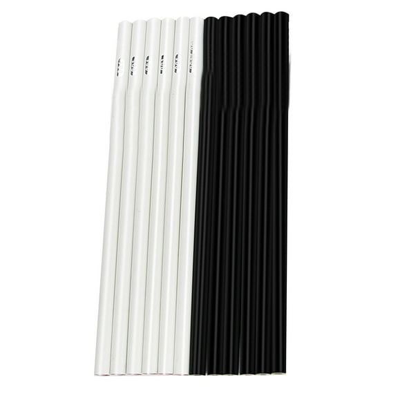 12Pcs Professional White and Black Charcoal Pencils Set Sketch Highlight Colored Pencils for Sketching Shading Blending