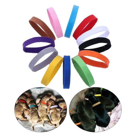 12Pcs/Set Pet Dog Cat Identification Collar Adjustable Mark Neck Strap Puppy ID Collars ID Bands
